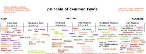 Acid Alkaline pH Scale photo